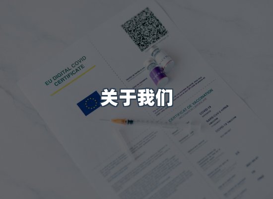 专业团队